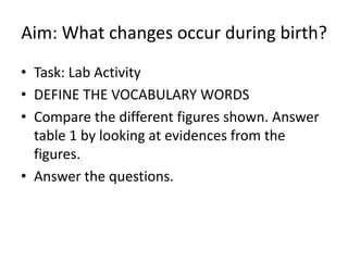 Aim: What changes occur during birth?
• Task: Lab Activity
• DEFINE THE VOCABULARY WORDS
• Compare the different figures shown. Answer
table 1 by looking at evidences from the
figures.
• Answer the questions.

 