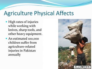 Agriculture Physical Affects
 High rates of injuries

while working with
knives, sharp tools, and
other heavy equipment.
 An estimated 100,000
children suffer from
agriculture-related
injuries in Pakistan
annually

 