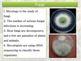 I. Mycology is the study of
fungi.
2. The number of serious fungal
infections is increasing.
3. Most fungi are decomposers,
and a few are parasites of plants
and animals.
4. Mycologists are using rRNA
sequencing to classify these
organisms.
Fungi
 