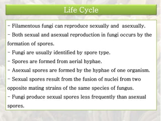 Life Cycle
- Filamentous fungi can reproduce sexually and asexually.
- Both sexual and asexual reproduction in fungi occurs by the
formation of spores.
- Fungi are usually identified by spore type.
- Spores are formed from aerial hyphae.
- Asexual spores are formed by the hyphae of one organism.
- Sexual spores result from the fusion of nuclei from two
opposite mating strains of the same species of fungus.
- Fungi produce sexual spores less frequently than asexual
spores.
 