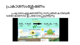 പ്പകാശ്സംയേഷണം
പ്പകാശ്സംയേഷണത്തിനു സസയങ്ങൾ കാർബൺ
ഡയൊക്സസഡ് ഉപയൊഗയപ്പെുത്തുന്നു.
 