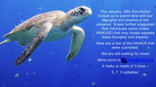 January Haiku SHCJ HAIKU COLLECTION | PPTX