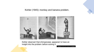 This Photo by Unknown author is licensed under CC BY-SA-NC.
 