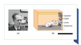 This Photo by Unknown author is licensed under CC BY.
 