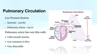 Pulmonary Circulation
Low Pressure System
Systemic - 120/80
Pulmonary Artery - 24/12
Pulmonary artery has very thin walls
• Little smooth muscles
• Low resistance to flow
• Very distensible
 