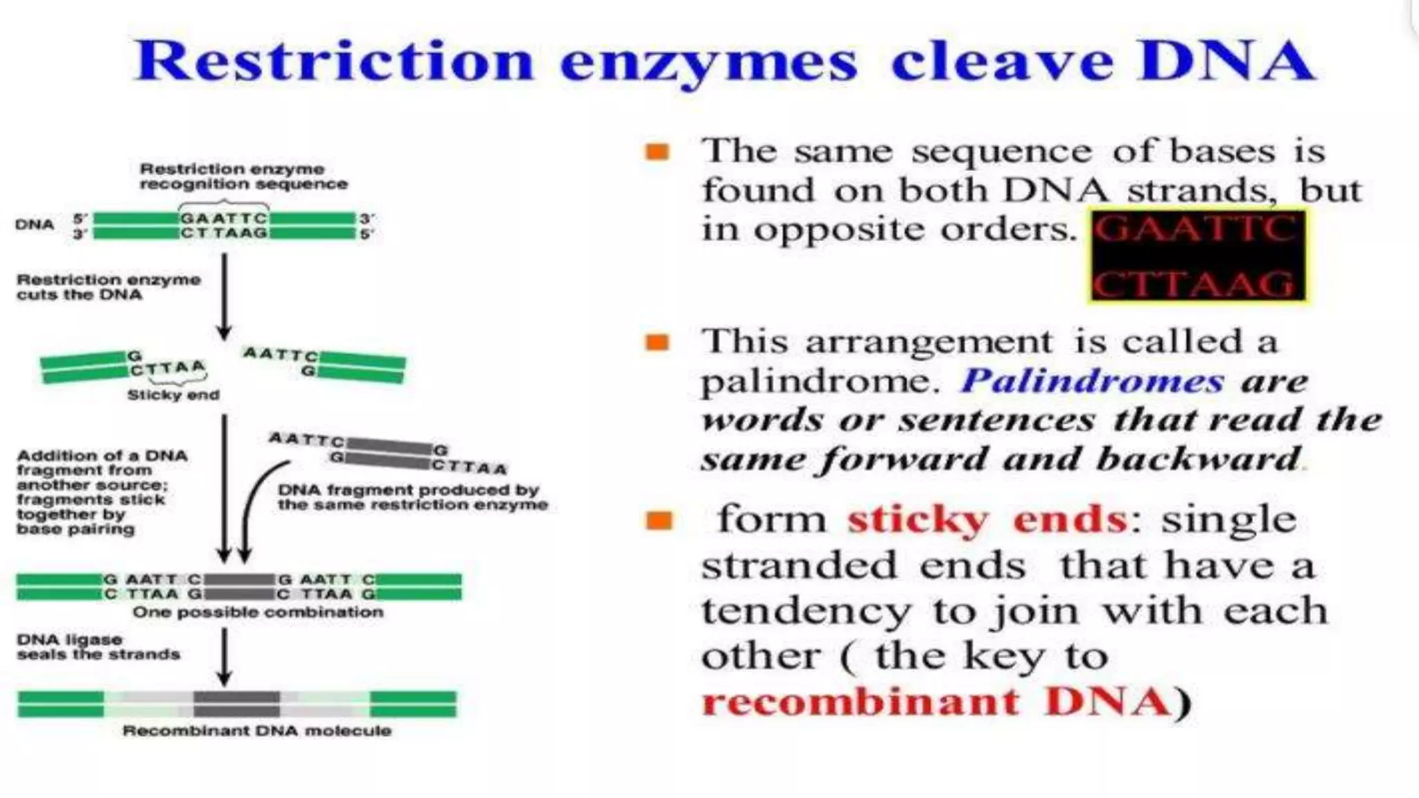 Recombinant DNA Technology by Fahad Iqbal
