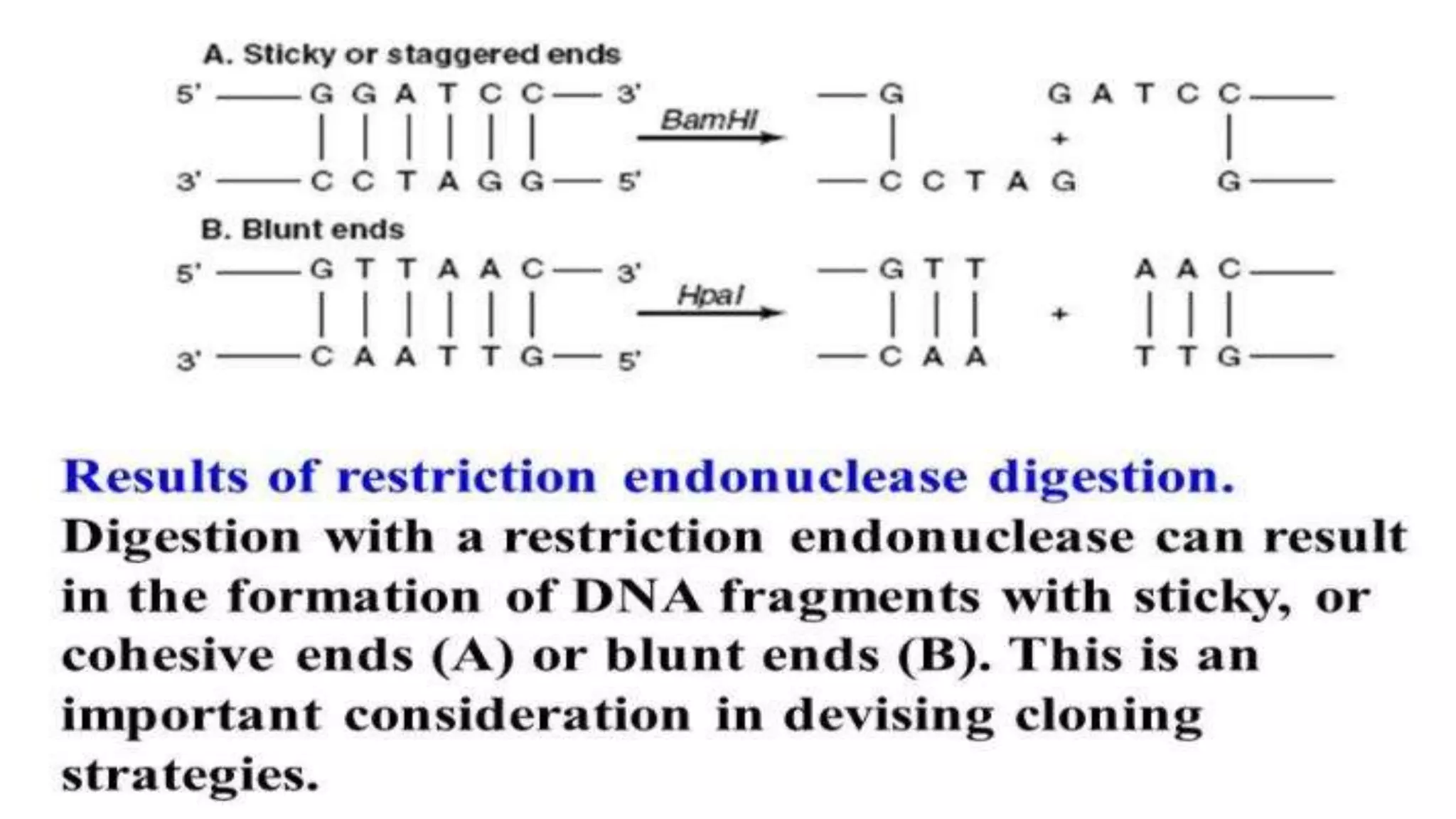 Recombinant DNA Technology by Fahad Iqbal