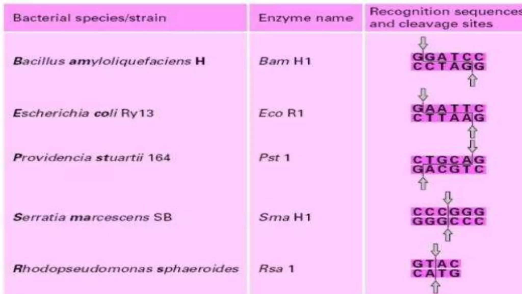 Recombinant DNA Technology by Fahad Iqbal