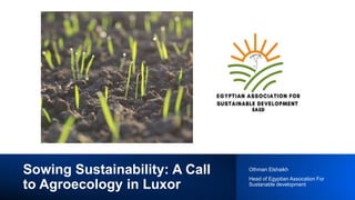 Sowing Sustainability: A Call
to Agroecology in Luxor
Othman Elshaikh
Head of Egyptian Assocation For
Sustanable development
 
