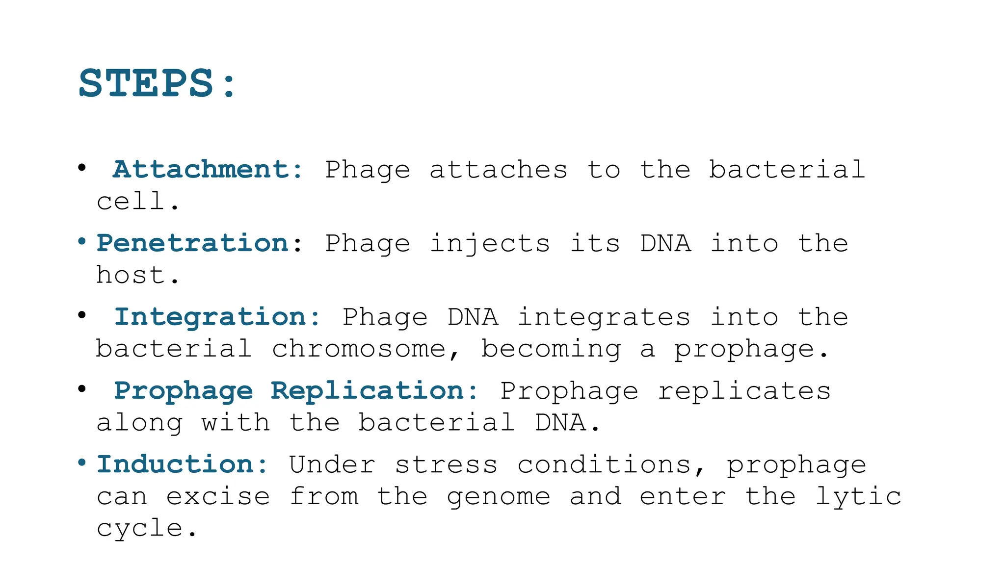 STEPS:
• Attachment: Phage attaches to the bacterial
cell.
• Penetration: Phage injects its DNA into the
host.
• Integration: Phage DNA integrates into the
bacterial chromosome, becoming a prophage.
• Prophage Replication: Prophage replicates
along with the bacterial DNA.
• Induction: Under stress conditions, prophage
can excise from the genome and enter the lytic
cycle.
 
