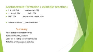 Presentation (7).pdf keton Bodies presentation | PDF