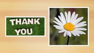 APPROACHES TO PERSONALITY