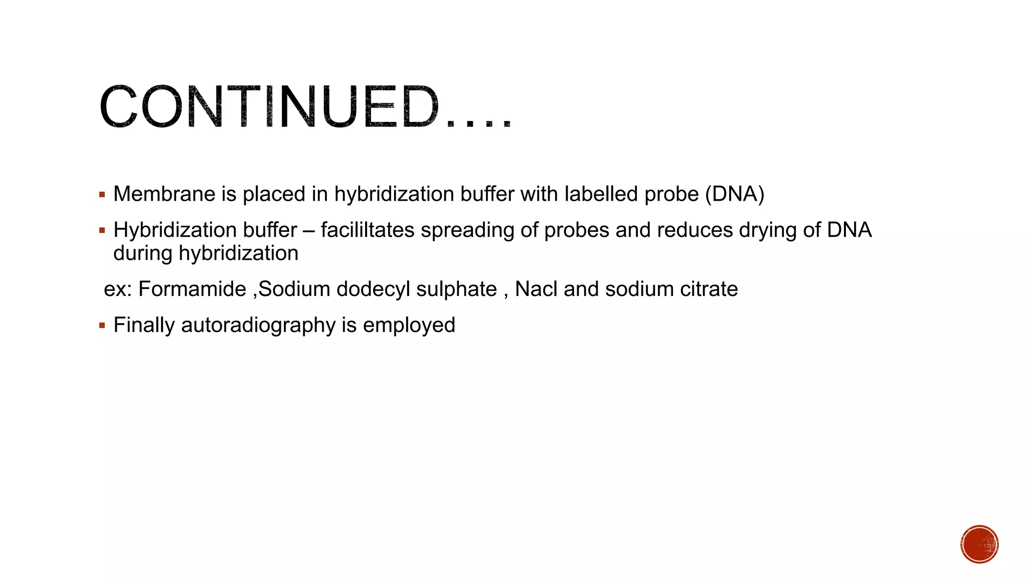  Membrane is placed in hybridization buffer with labelled probe (DNA)
 Hybridization buffer – facililtates spreading of probes and reduces drying of DNA
during hybridization
ex: Formamide ,Sodium dodecyl sulphate , Nacl and sodium citrate
 Finally autoradiography is employed
 