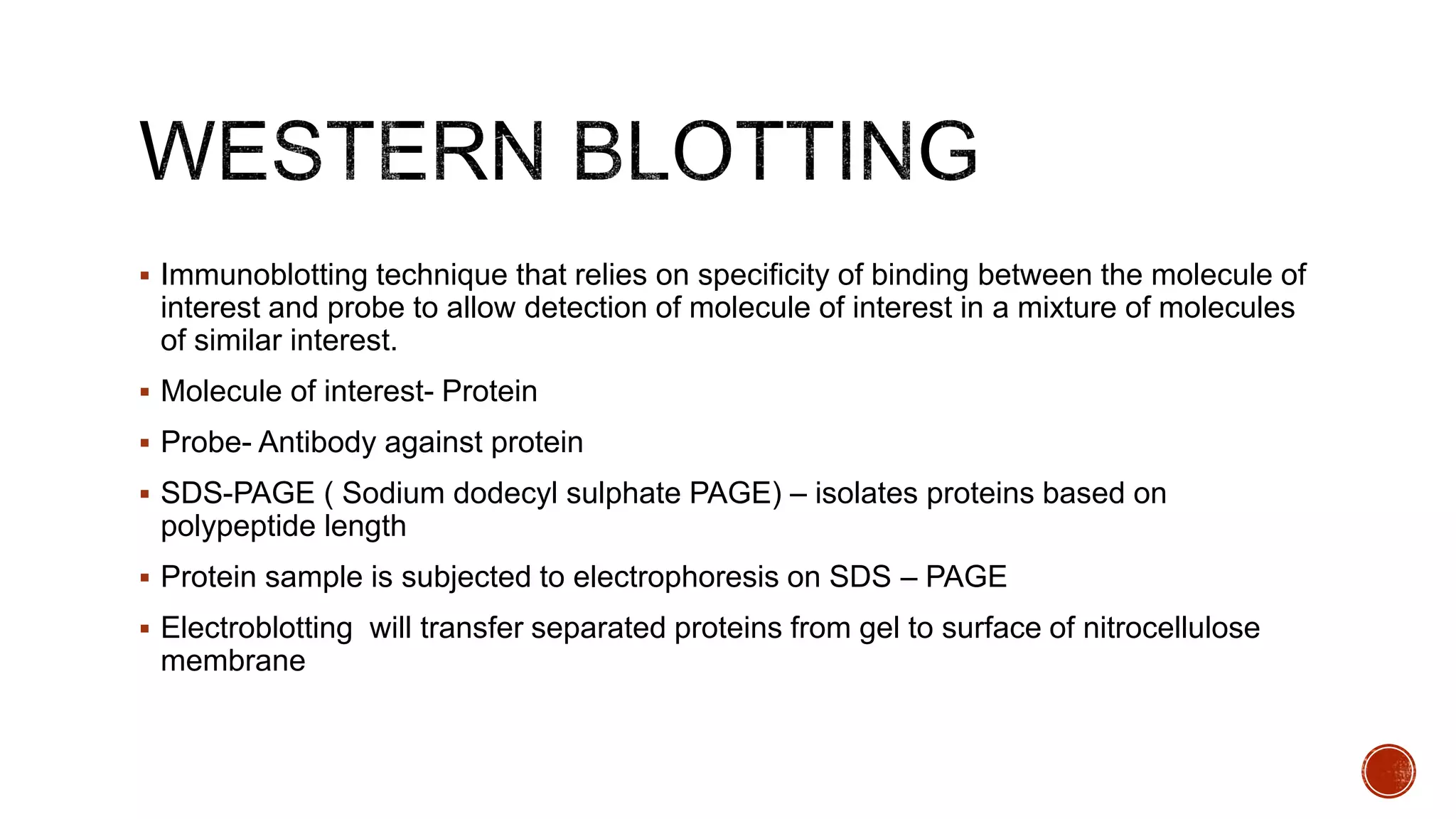  Immunoblotting technique that relies on specificity of binding between the molecule of
interest and probe to allow detection of molecule of interest in a mixture of molecules
of similar interest.
 Molecule of interest- Protein
 Probe- Antibody against protein
 SDS-PAGE ( Sodium dodecyl sulphate PAGE) – isolates proteins based on
polypeptide length
 Protein sample is subjected to electrophoresis on SDS – PAGE
 Electroblotting will transfer separated proteins from gel to surface of nitrocellulose
membrane
 