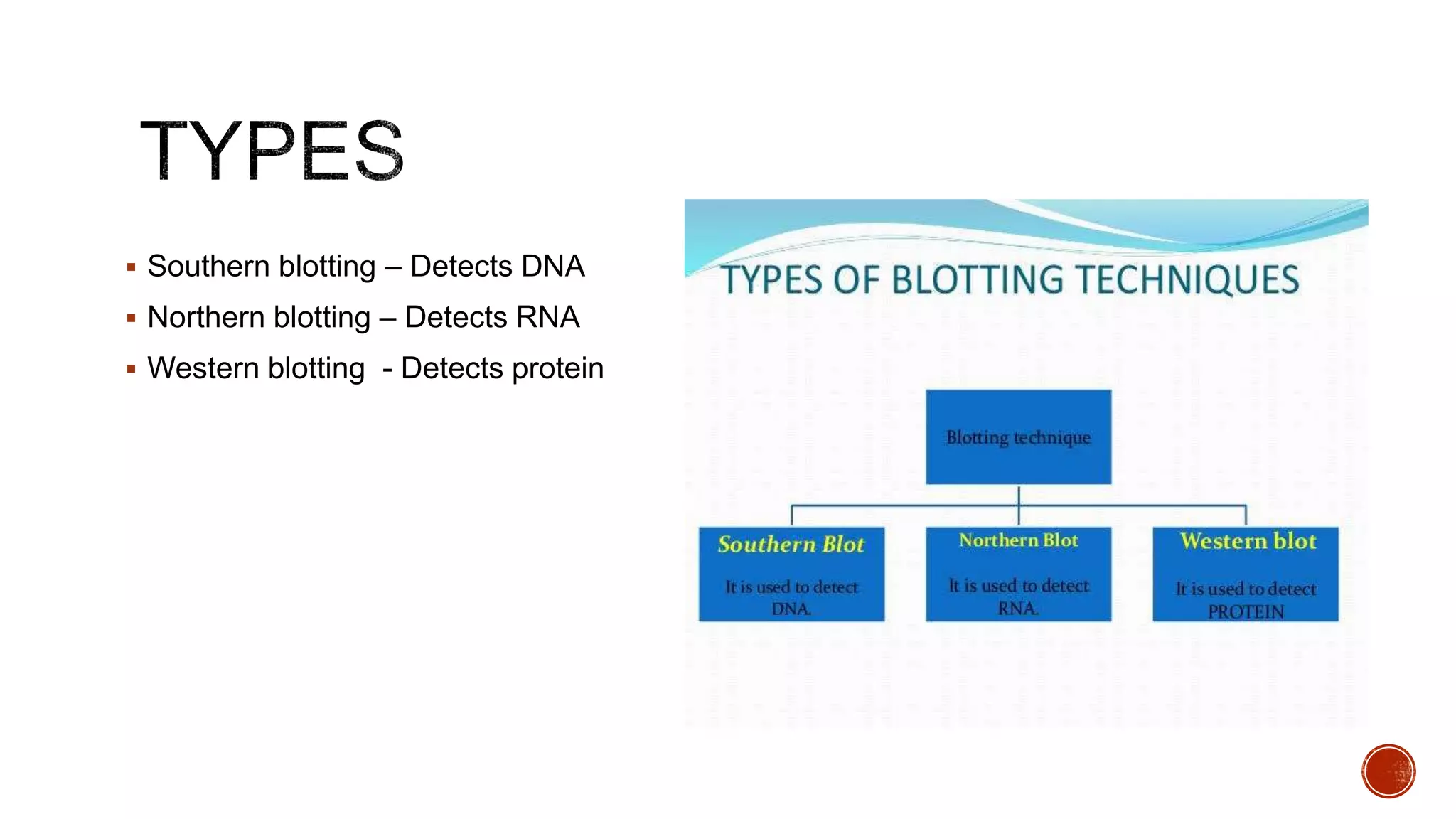  Southern blotting – Detects DNA
 Northern blotting – Detects RNA
 Western blotting - Detects protein
 