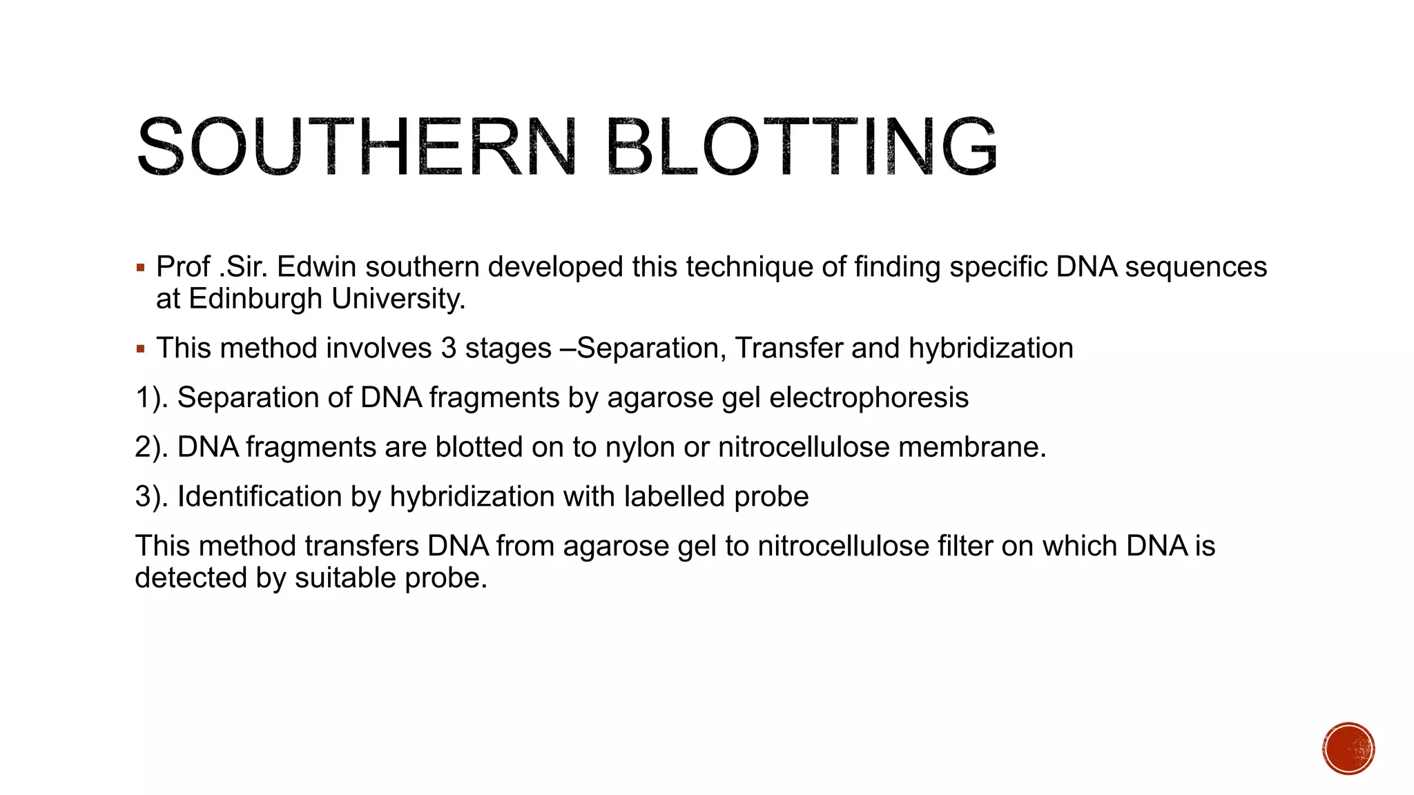  Prof .Sir. Edwin southern developed this technique of finding specific DNA sequences
at Edinburgh University.
 This method involves 3 stages –Separation, Transfer and hybridization
1). Separation of DNA fragments by agarose gel electrophoresis
2). DNA fragments are blotted on to nylon or nitrocellulose membrane.
3). Identification by hybridization with labelled probe
This method transfers DNA from agarose gel to nitrocellulose filter on which DNA is
detected by suitable probe.
 