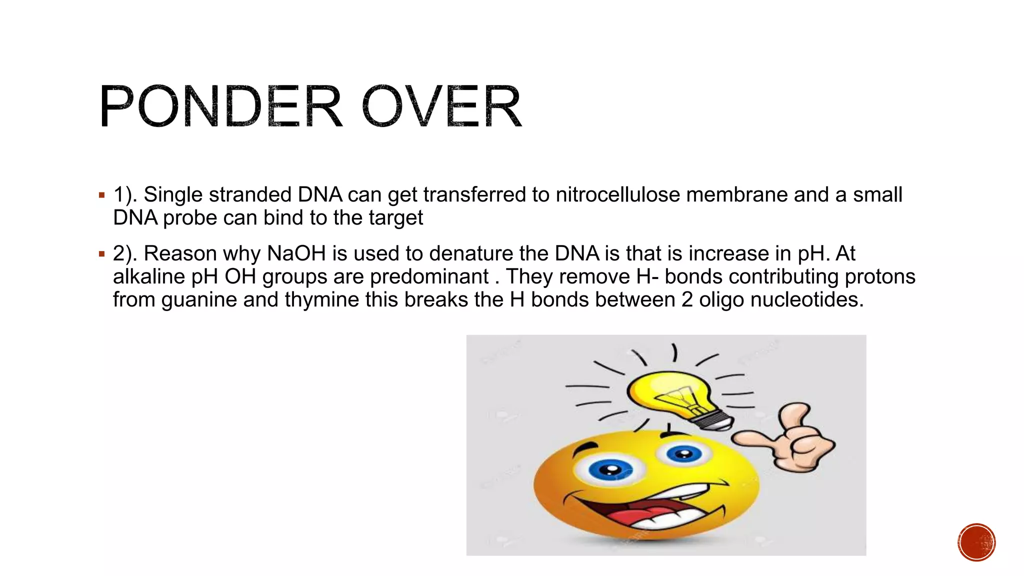  1). Single stranded DNA can get transferred to nitrocellulose membrane and a small
DNA probe can bind to the target
 2). Reason why NaOH is used to denature the DNA is that is increase in pH. At
alkaline pH OH groups are predominant . They remove H- bonds contributing protons
from guanine and thymine this breaks the H bonds between 2 oligo nucleotides.
 