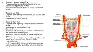 Course Of Rln Comprehensive Anatomy and Physiology of the Larynx by Dr. Durar Ali | PDF
