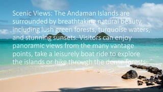 Scenic Views: The Andaman Islands are
surrounded by breathtaking natural beauty,
including lush green forests, turquoise waters,
and stunning sunsets. Visitors can enjoy
panoramic views from the many vantage
points, take a leisurely boat ride to explore
the islands or hike through the dense forests.
 
