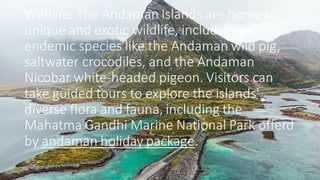 Wildlife: The Andaman Islands are home to
unique and exotic wildlife, including several
endemic species like the Andaman wild pig,
saltwater crocodiles, and the Andaman
Nicobar white-headed pigeon. Visitors can
take guided tours to explore the islands'
diverse flora and fauna, including the
Mahatma Gandhi Marine National Park offerd
by andaman holiday package.
 