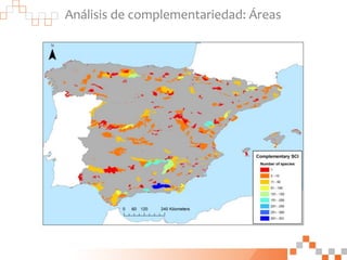 Análisis de complementariedad: Áreas
 