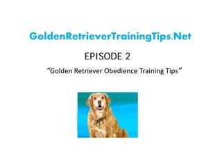 GoldenRetrieverTrainingTips.Net
              EPISODE 2
   “Golden Retriever Obedience Training Tips”
 