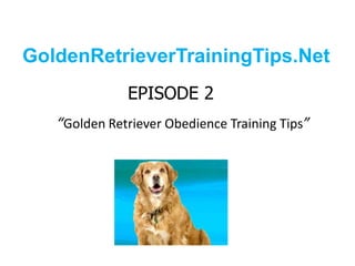 GoldenRetrieverTrainingTips.Net EPISODE 2“Golden Retriever Obedience Training Tips” 