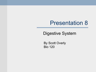 Presentation 8
Digestive System

By Scott Overly
Bio 120
 