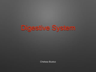 Chelsea Bustoz
Digestive System
 