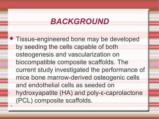 BACKGROUND Tissue-engineered bone may be developed by seeding the cells capable of both osteogenesis  and vascularization  on biocompatible composite scaffolds. The current study investigated the performance of mice bone marrow-derived osteogenic  cells and endothelial cells as seeded on hydroxyapatite  (HA) and poly-ε- caprolactone  (PCL) composite scaffolds. 
