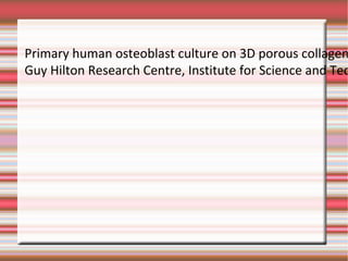 Primary human osteoblast  culture on 3D porous collagen- hydroxyapatite  scaffolds. Guy Hilton Research Centre, Institute for Science and Technology in Medicine, Keele  University, Thornburrow  Drive, Hartshill  ST4 7QB, Stoke-on-Trent, United Kingdom. 