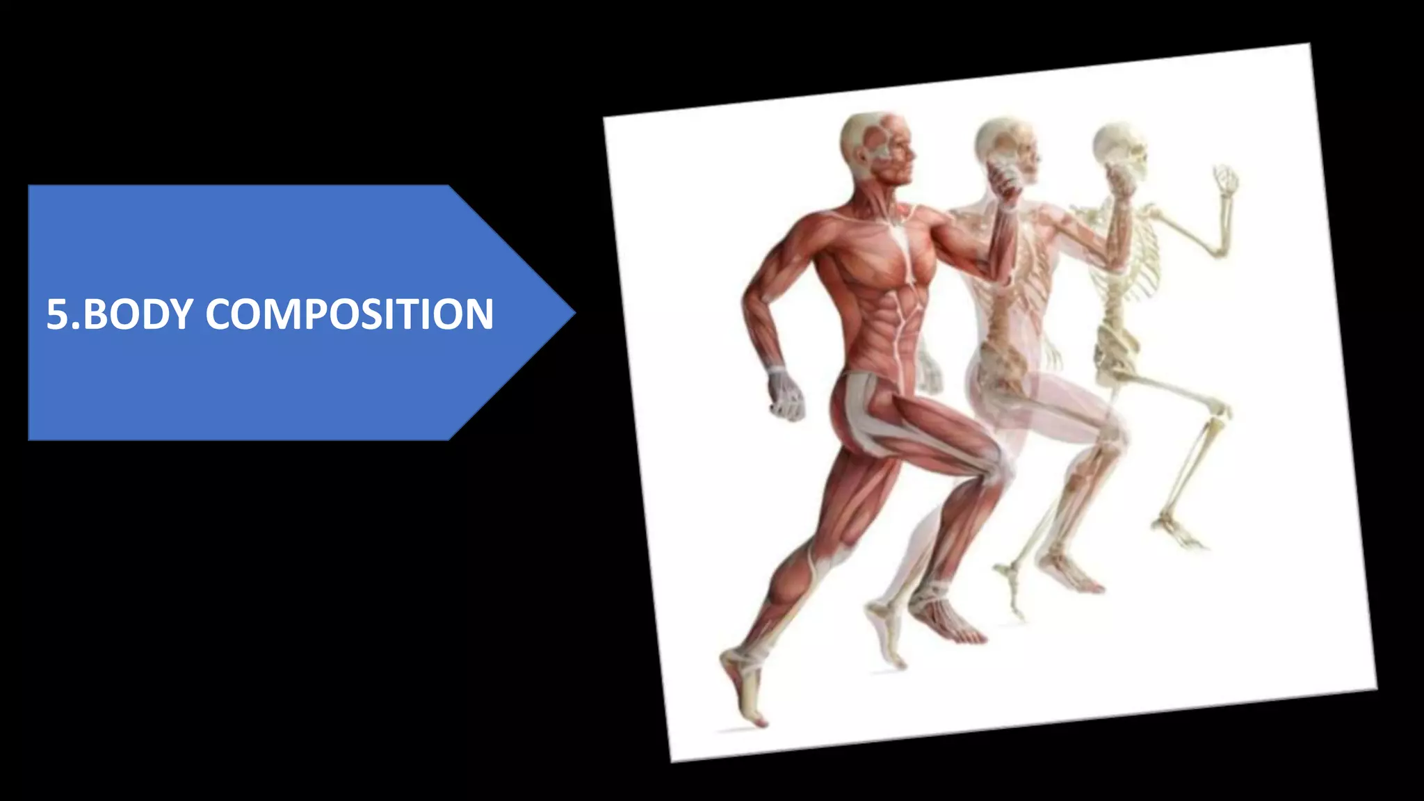 5.BODY COMPOSITION