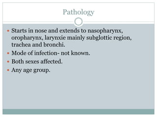 Pathology
 Starts in nose and extends to nasopharynx,
oropharynx, larynxie mainly subglottic region,
trachea and bronchi.
 Mode of infection- not known.
 Both sexes affected.
 Any age group.
 