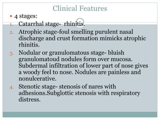 Clinical Features
 4 stages:
1. Catarrhal stage- rhinitis.
2. Atrophic stage-foul smelling purulent nasal
discharge and crust formation mimicks atrophic
rhinitis.
3. Nodular or granulomatous stage- bluish
granulomatoud nodules form over mucosa.
Subdermal infiltration of lower part of nose gives
a woody feel to nose. Nodules are painless and
nonulcerative.
4. Stenotic stage- stenosis of nares with
adhesions.Subglottic stenosis with respiratory
distress.
 
