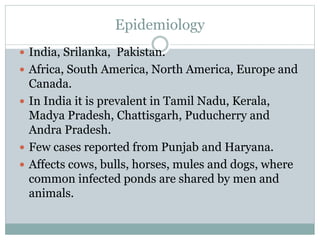 Epidemiology
 India, Srilanka, Pakistan.
 Africa, South America, North America, Europe and
Canada.
 In India it is prevalent in Tamil Nadu, Kerala,
Madya Pradesh, Chattisgarh, Puducherry and
Andra Pradesh.
 Few cases reported from Punjab and Haryana.
 Affects cows, bulls, horses, mules and dogs, where
common infected ponds are shared by men and
animals.
 