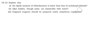 Presentation (8).pptx