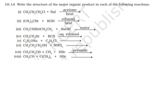 Presentation (8).pptx