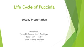 Life Cycle of Puccinia
Botany Presentation
Prepared by :
Name: Bivekananda Ghosh, Rahul Gogoi
Semester:2nd Semester
Subject: Botany (Honours)
 