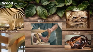 Wood you can ….....
Layer it
Bend it
Slot it together
Carve it
Turn it
 