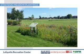Lafayette Recreation Center
STRATEGIC MEADOW PLANTINGS
* No dogs allowed on ﬁeld
Tennis Courts
•! Clean drains
•! No dogs allowed
Alley
•! Heavily Used
•! Outdoor Fitness
•! Hockey
•! Waiting Area
* Wildﬂower plantings
* Consider boardwalks
* Extend perimeter drain
 