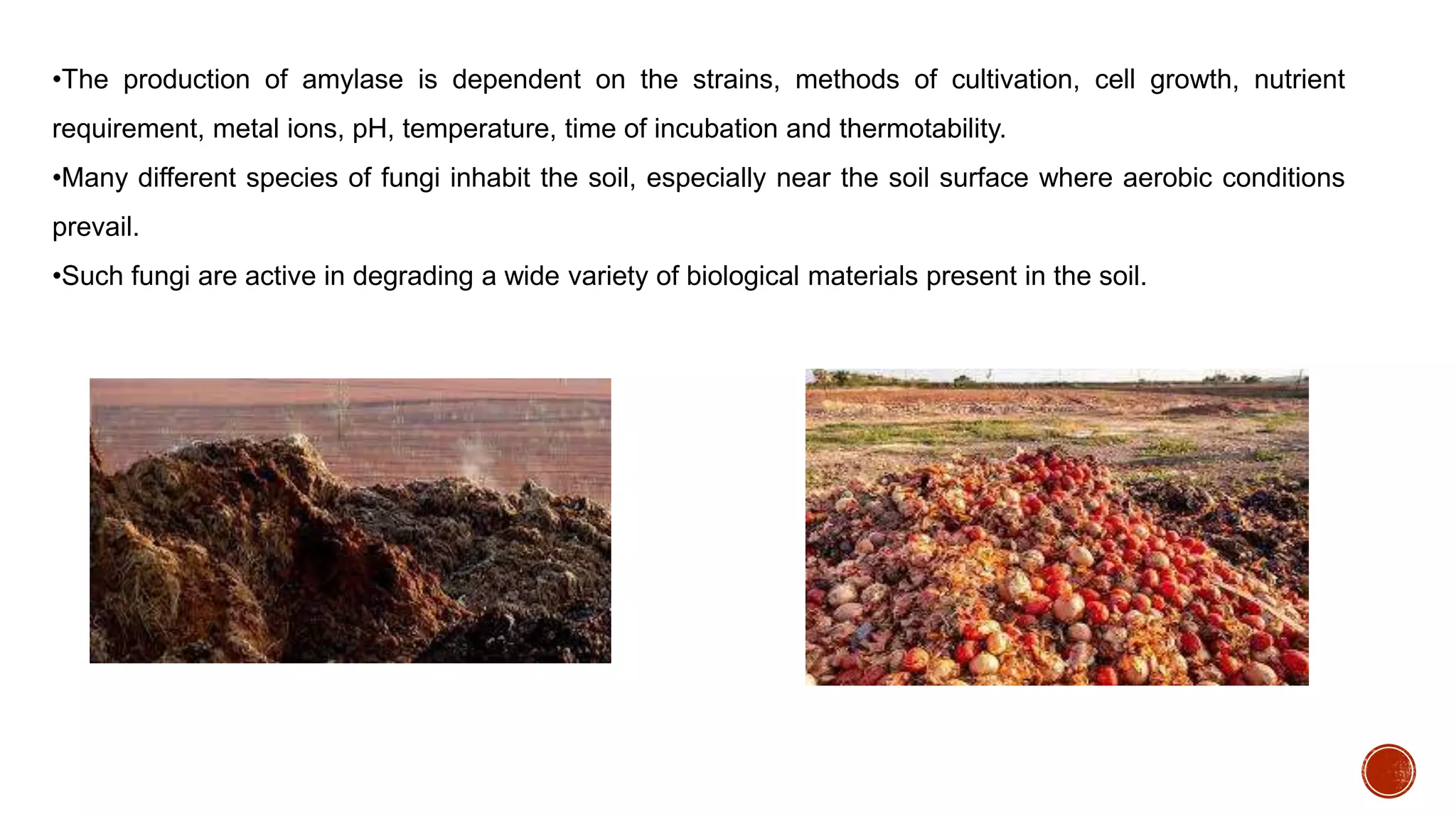 Isolation and Characterization of Amylase from Fungal Strain | PPTX