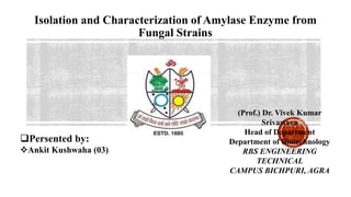 Isolation and Characterization of Amylase Enzyme from
Fungal Strains
Persented by:
Ankit Kushwaha (03)
(Prof.) Dr. Vivek Kumar
Srivastava
Head of Department
Department of Biotechnology
RBS ENGINEERING
TECHNICAL
CAMPUS BICHPURI, AGRA
 