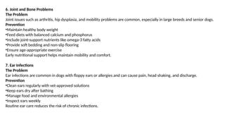 Common Health Problems in Dogs and Their Prevention Through Diet ...