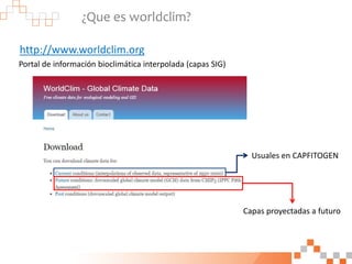 ¿Que es worldclim?
Portal de información bioclimática interpolada (capas SIG)
Usuales en CAPFITOGEN
Capas proyectadas a fu...