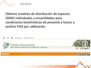 Modela
Obtiene modelos de distribución de especies
(SDM) individuales y ensamblados para
condiciones bioclimáticas de pres...