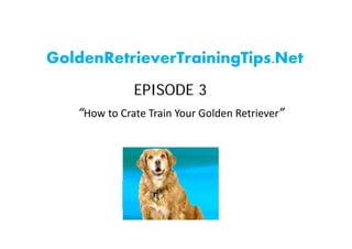 GoldenRetrieverTrainingTips.Net
              EPISODE 3
   “How to Crate Train Your Golden Retriever”
 