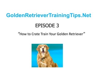 GoldenRetrieverTrainingTips.Net EPISODE 3“How to Crate Train Your Golden Retriever” 