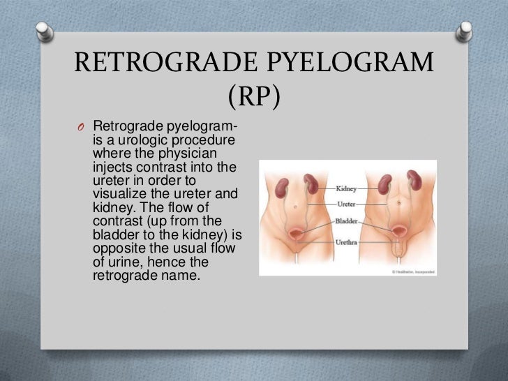 Presentation 9