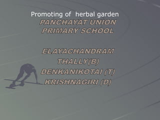 Promoting of  herbal garden 