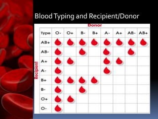 Blood Administration | PPTX